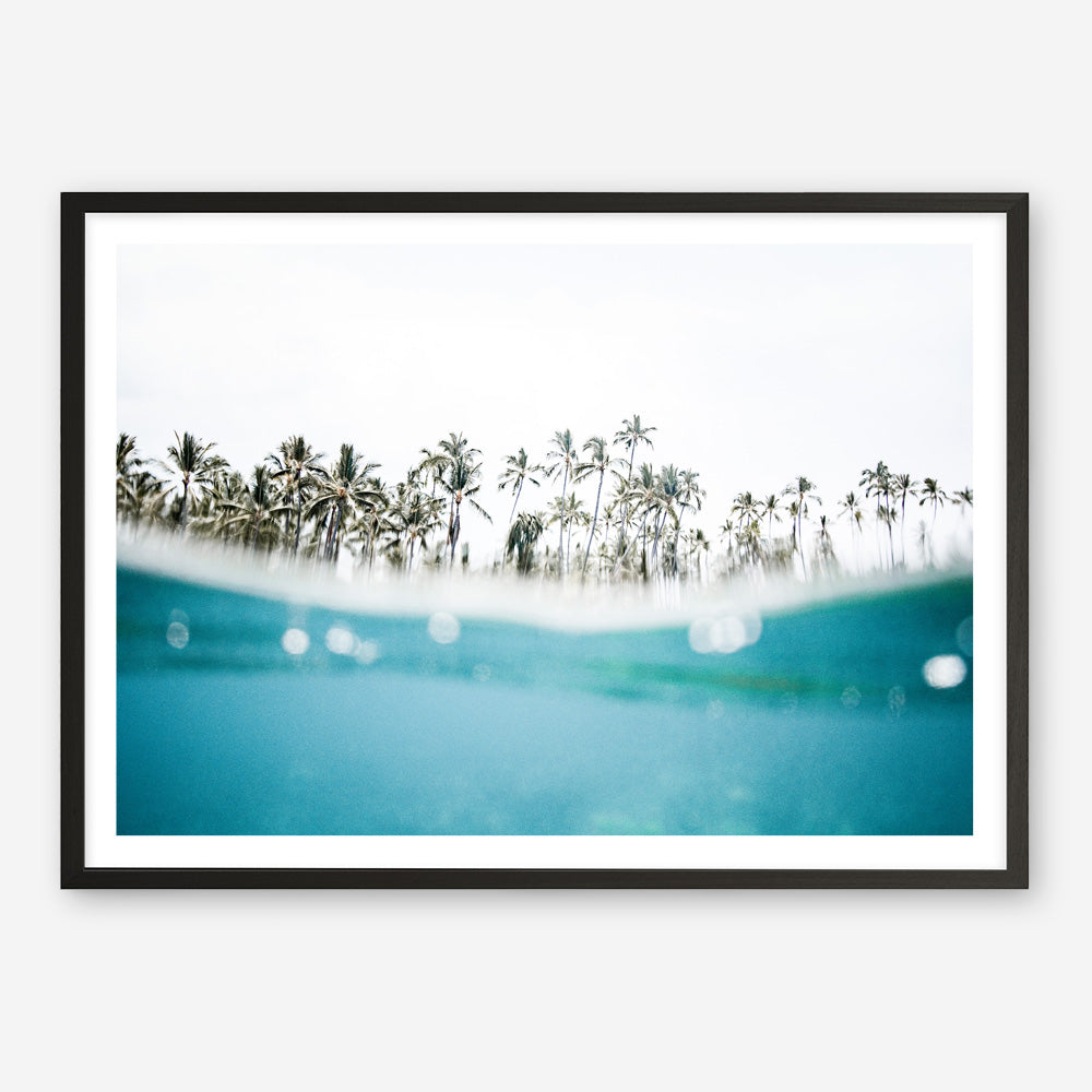 Shop Palm Oasis Photo Art Print a coastal themed photography wall art print from The Print Emporium wall artwork collection - Buy Australian made fine art poster and framed prints for the home and your interior decor, TPE-958-AP