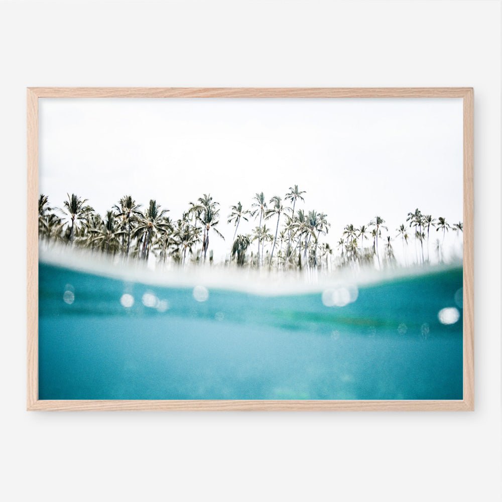 Shop Palm Oasis Photo Art Print a coastal themed photography wall art print from The Print Emporium wall artwork collection - Buy Australian made fine art poster and framed prints for the home and your interior decor, TPE-958-AP