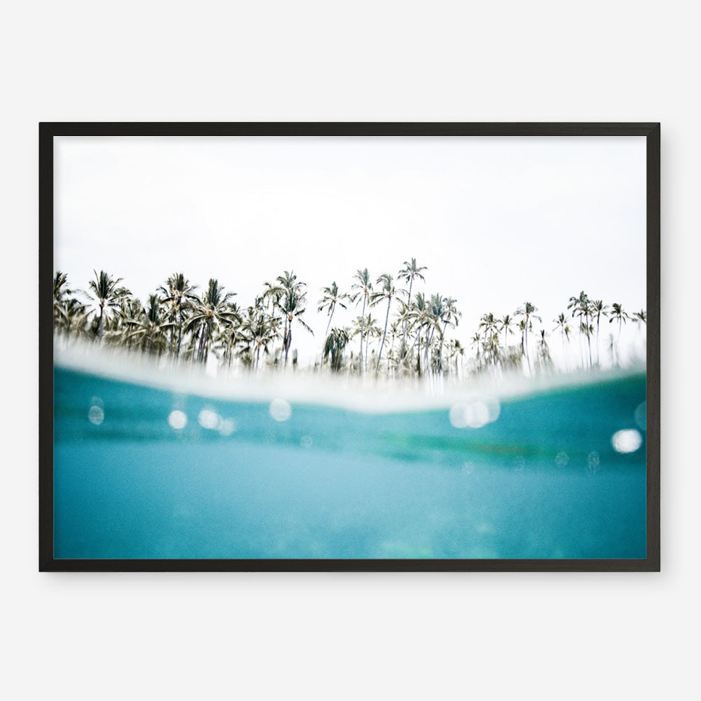 Shop Palm Oasis Photo Art Print a coastal themed photography wall art print from The Print Emporium wall artwork collection - Buy Australian made fine art poster and framed prints for the home and your interior decor, TPE-958-AP