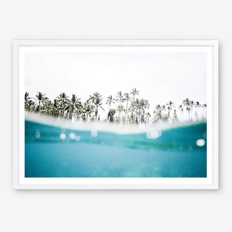 Shop Palm Oasis Photo Art Print a coastal themed photography wall art print from The Print Emporium wall artwork collection - Buy Australian made fine art poster and framed prints for the home and your interior decor, TPE-958-AP