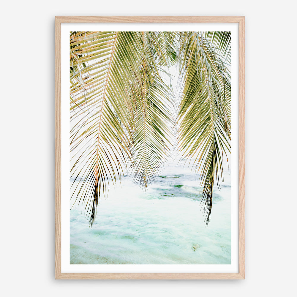 Shop Palm Shade Photo Art Print a coastal themed photography wall art print from The Print Emporium wall artwork collection - Buy Australian made fine art poster and framed prints for the home and your interior decor, TPE-1266-AP
