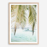 Shop Palm Shade Photo Art Print a coastal themed photography wall art print from The Print Emporium wall artwork collection - Buy Australian made fine art poster and framed prints for the home and your interior decor, TPE-1266-AP