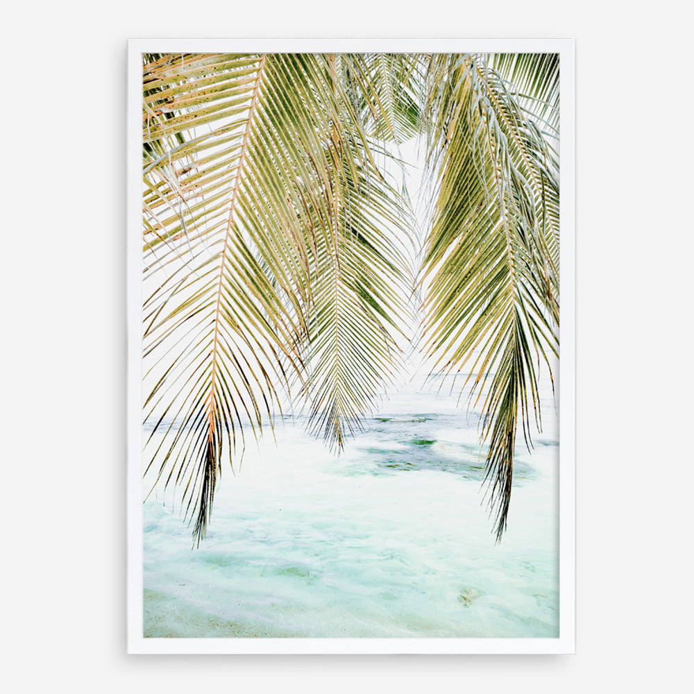 Shop Palm Shade Photo Art Print a coastal themed photography wall art print from The Print Emporium wall artwork collection - Buy Australian made fine art poster and framed prints for the home and your interior decor, TPE-1266-AP