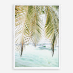 Shop Palm Shade Photo Art Print a coastal themed photography wall art print from The Print Emporium wall artwork collection - Buy Australian made fine art poster and framed prints for the home and your interior decor, TPE-1266-AP