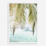 Shop Palm Shade Photo Art Print a coastal themed photography wall art print from The Print Emporium wall artwork collection - Buy Australian made fine art poster and framed prints for the home and your interior decor, TPE-1266-AP