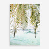Shop Palm Shade Photo Art Print a coastal themed photography wall art print from The Print Emporium wall artwork collection - Buy Australian made fine art poster and framed prints for the home and your interior decor, TPE-1266-AP