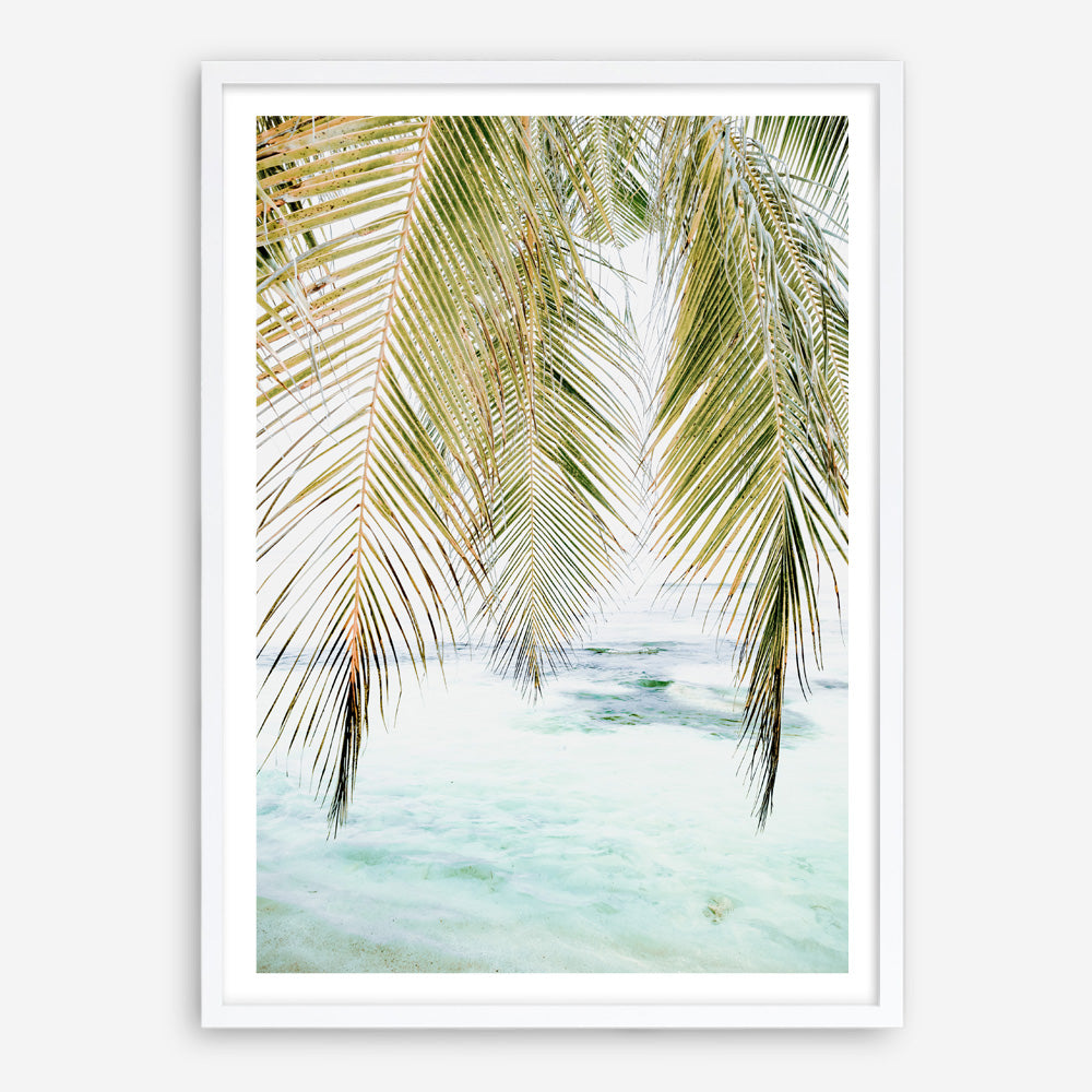 Shop Palm Shade Photo Art Print a coastal themed photography wall art print from The Print Emporium wall artwork collection - Buy Australian made fine art poster and framed prints for the home and your interior decor, TPE-1266-AP