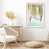 Shop Palm Shade Photo Art Print a coastal themed photography wall art print from The Print Emporium wall artwork collection - Buy Australian made fine art poster and framed prints for the home and your interior decor, TPE-1266-AP