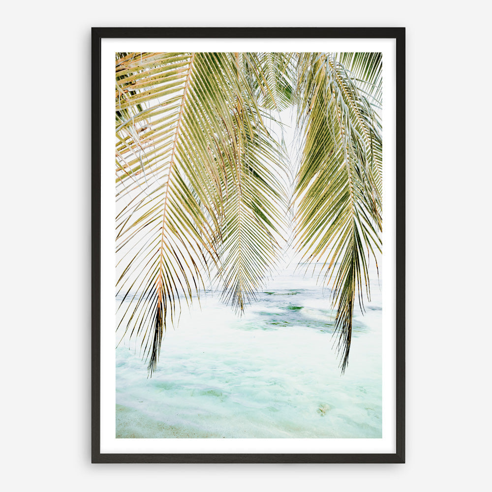 Shop Palm Shade Photo Art Print a coastal themed photography wall art print from The Print Emporium wall artwork collection - Buy Australian made fine art poster and framed prints for the home and your interior decor, TPE-1266-AP