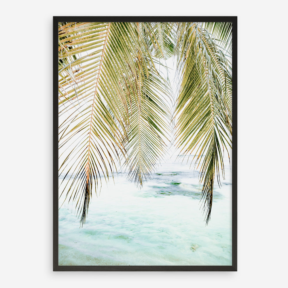Shop Palm Shade Photo Art Print a coastal themed photography wall art print from The Print Emporium wall artwork collection - Buy Australian made fine art poster and framed prints for the home and your interior decor, TPE-1266-AP
