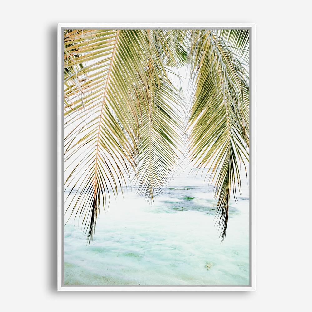 Shop Palm Shade Photo Canvas Print a coastal themed photography framed stretched canvas print from The Print Emporium wall artwork collection - Buy Australian made prints for the home and your interior decor space, TPE-1266-CA-35X46-NF