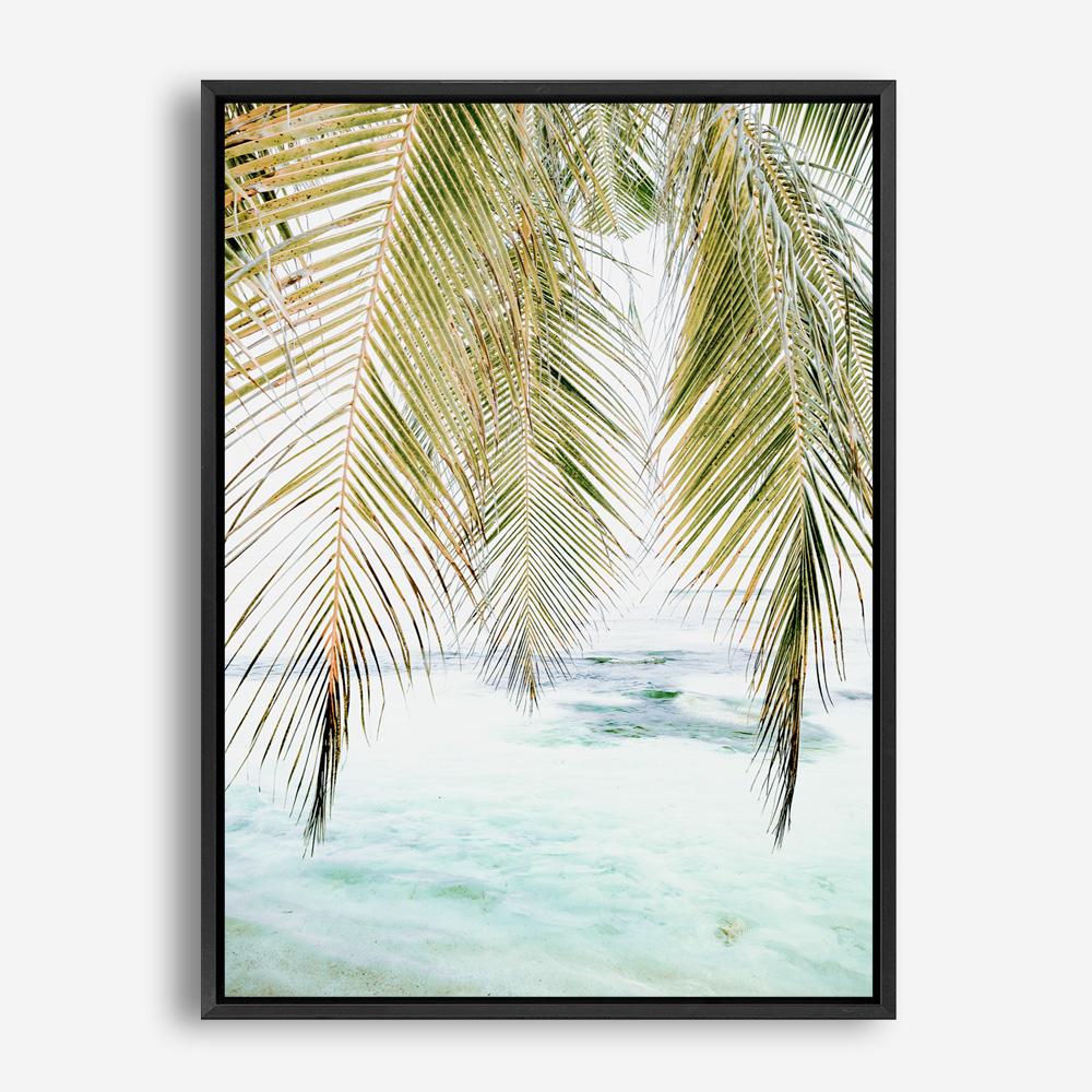 Shop Palm Shade Photo Canvas Print a coastal themed photography framed stretched canvas print from The Print Emporium wall artwork collection - Buy Australian made prints for the home and your interior decor space, TPE-1266-CA-35X46-NF