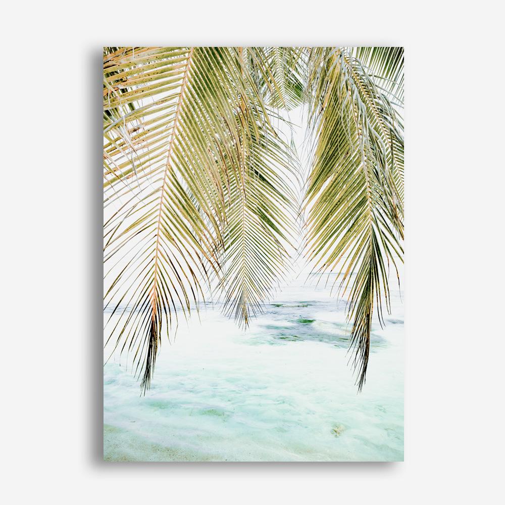 Shop Palm Shade Photo Canvas Print a coastal themed photography framed stretched canvas print from The Print Emporium wall artwork collection - Buy Australian made prints for the home and your interior decor space, TPE-1266-CA-35X46-NF