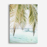 Shop Palm Shade Photo Canvas Print a coastal themed photography framed stretched canvas print from The Print Emporium wall artwork collection - Buy Australian made prints for the home and your interior decor space, TPE-1266-CA-35X46-NF
