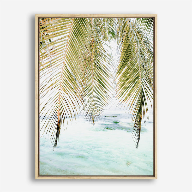 Shop Palm Shade Photo Canvas Print a coastal themed photography framed stretched canvas print from The Print Emporium wall artwork collection - Buy Australian made prints for the home and your interior decor space, TPE-1266-CA-35X46-NF
