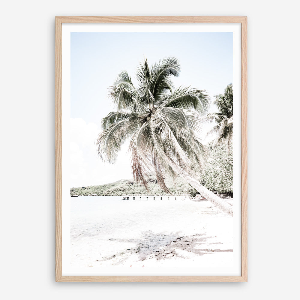 Shop Palm Shadow Photo Art Print a coastal themed photography wall art print from The Print Emporium wall artwork collection - Buy Australian made fine art poster and framed prints for the home and your interior decor, TPE-695-AP