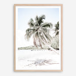 Shop Palm Shadow Photo Art Print a coastal themed photography wall art print from The Print Emporium wall artwork collection - Buy Australian made fine art poster and framed prints for the home and your interior decor, TPE-695-AP