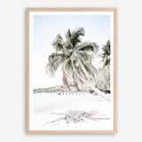 Shop Palm Shadow Photo Art Print a coastal themed photography wall art print from The Print Emporium wall artwork collection - Buy Australian made fine art poster and framed prints for the home and your interior decor, TPE-695-AP