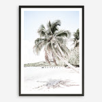Shop Palm Shadow Photo Art Print a coastal themed photography wall art print from The Print Emporium wall artwork collection - Buy Australian made fine art poster and framed prints for the home and your interior decor, TPE-695-AP