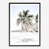Shop Palm Shadow Photo Art Print a coastal themed photography wall art print from The Print Emporium wall artwork collection - Buy Australian made fine art poster and framed prints for the home and your interior decor, TPE-695-AP