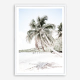 Shop Palm Shadow Photo Art Print a coastal themed photography wall art print from The Print Emporium wall artwork collection - Buy Australian made fine art poster and framed prints for the home and your interior decor, TPE-695-AP
