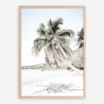 Shop Palm Shadow Photo Art Print a coastal themed photography wall art print from The Print Emporium wall artwork collection - Buy Australian made fine art poster and framed prints for the home and your interior decor, TPE-695-AP