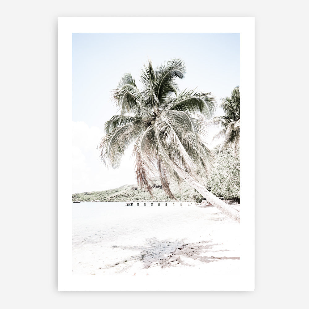 Shop Palm Shadow Photo Art Print a coastal themed photography wall art print from The Print Emporium wall artwork collection - Buy Australian made fine art poster and framed prints for the home and your interior decor, TPE-695-AP