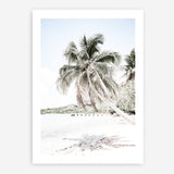 Shop Palm Shadow Photo Art Print a coastal themed photography wall art print from The Print Emporium wall artwork collection - Buy Australian made fine art poster and framed prints for the home and your interior decor, TPE-695-AP