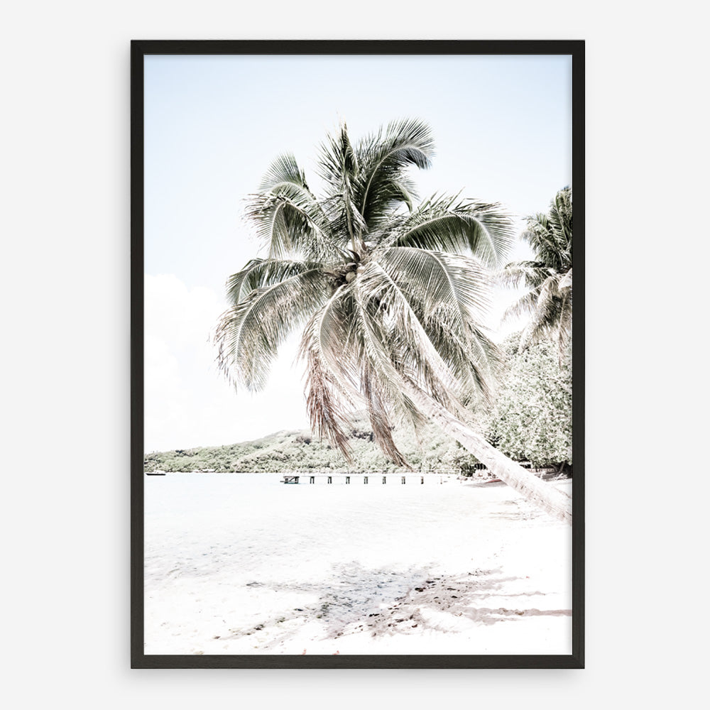 Shop Palm Shadow Photo Art Print a coastal themed photography wall art print from The Print Emporium wall artwork collection - Buy Australian made fine art poster and framed prints for the home and your interior decor, TPE-695-AP