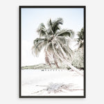 Shop Palm Shadow Photo Art Print a coastal themed photography wall art print from The Print Emporium wall artwork collection - Buy Australian made fine art poster and framed prints for the home and your interior decor, TPE-695-AP