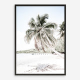 Shop Palm Shadow Photo Art Print a coastal themed photography wall art print from The Print Emporium wall artwork collection - Buy Australian made fine art poster and framed prints for the home and your interior decor, TPE-695-AP