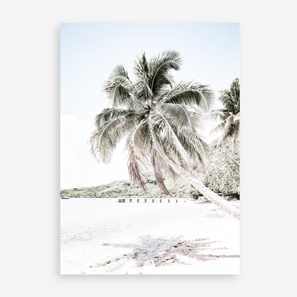 Shop Palm Shadow Photo Art Print a coastal themed photography wall art print from The Print Emporium wall artwork collection - Buy Australian made fine art poster and framed prints for the home and your interior decor, TPE-695-AP