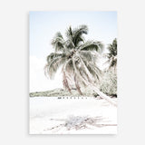 Shop Palm Shadow Photo Art Print a coastal themed photography wall art print from The Print Emporium wall artwork collection - Buy Australian made fine art poster and framed prints for the home and your interior decor, TPE-695-AP