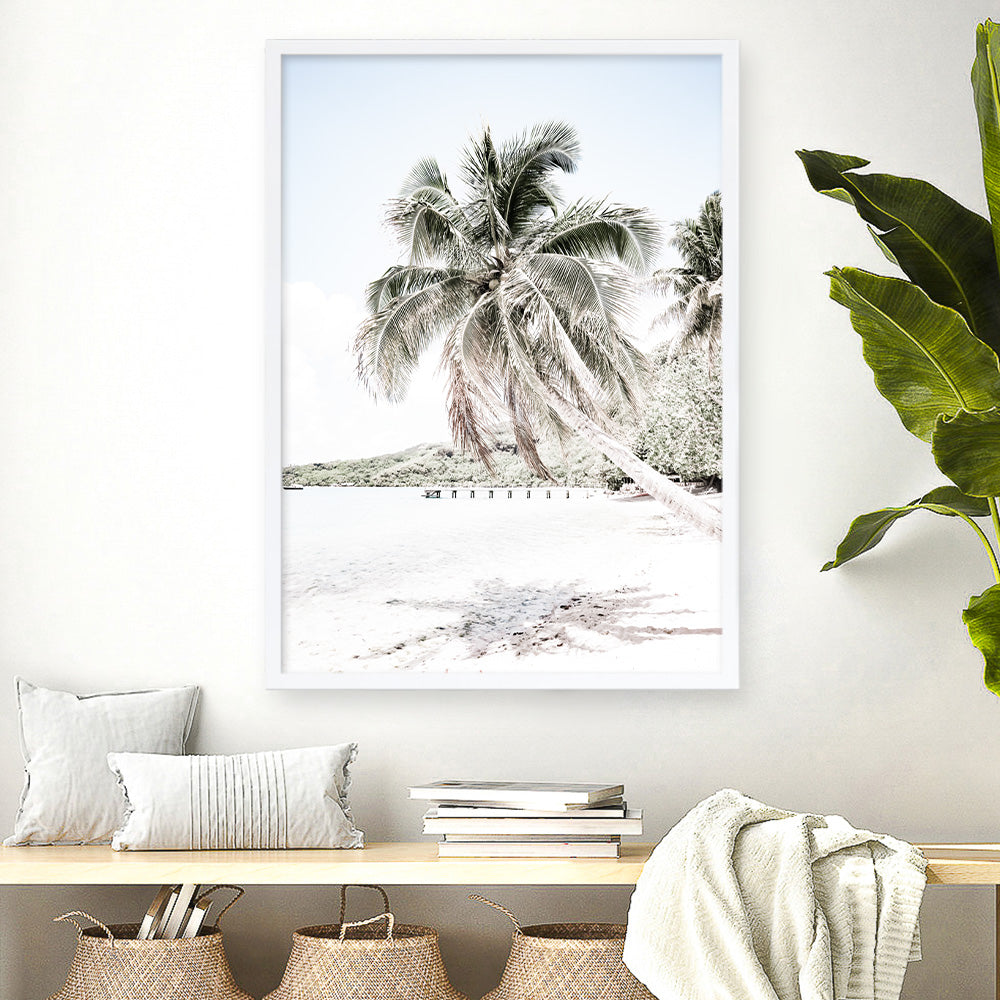 Shop Palm Shadow Photo Art Print a coastal themed photography wall art print from The Print Emporium wall artwork collection - Buy Australian made fine art poster and framed prints for the home and your interior decor, TPE-695-AP
