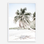 Shop Palm Shadow Photo Art Print a coastal themed photography wall art print from The Print Emporium wall artwork collection - Buy Australian made fine art poster and framed prints for the home and your interior decor, TPE-695-AP