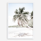 Shop Palm Shadow Photo Art Print a coastal themed photography wall art print from The Print Emporium wall artwork collection - Buy Australian made fine art poster and framed prints for the home and your interior decor, TPE-695-AP