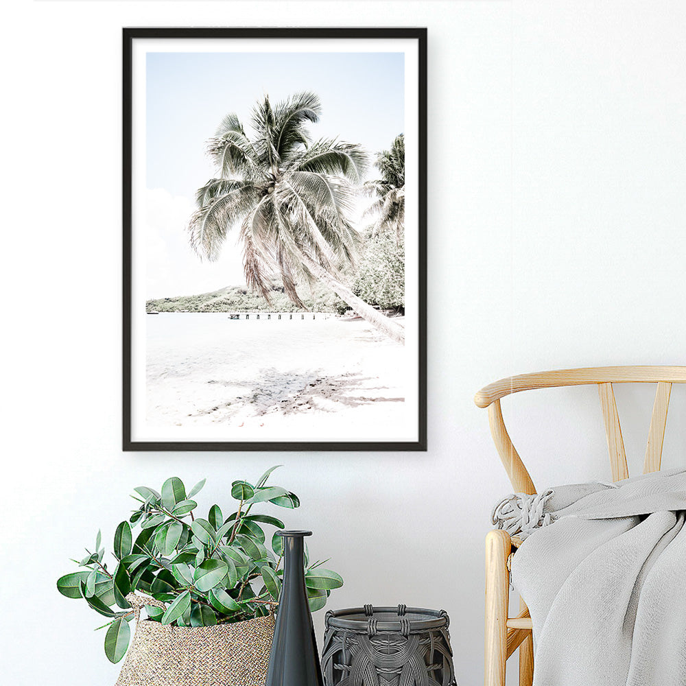 Shop Palm Shadow Photo Art Print a coastal themed photography wall art print from The Print Emporium wall artwork collection - Buy Australian made fine art poster and framed prints for the home and your interior decor, TPE-695-AP