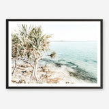 Shop Palm Tree Point Photo Art Print a coastal themed photography wall art print from The Print Emporium wall artwork collection - Buy Australian made fine art poster and framed prints for the home and your interior decor, TPE-1068-AP