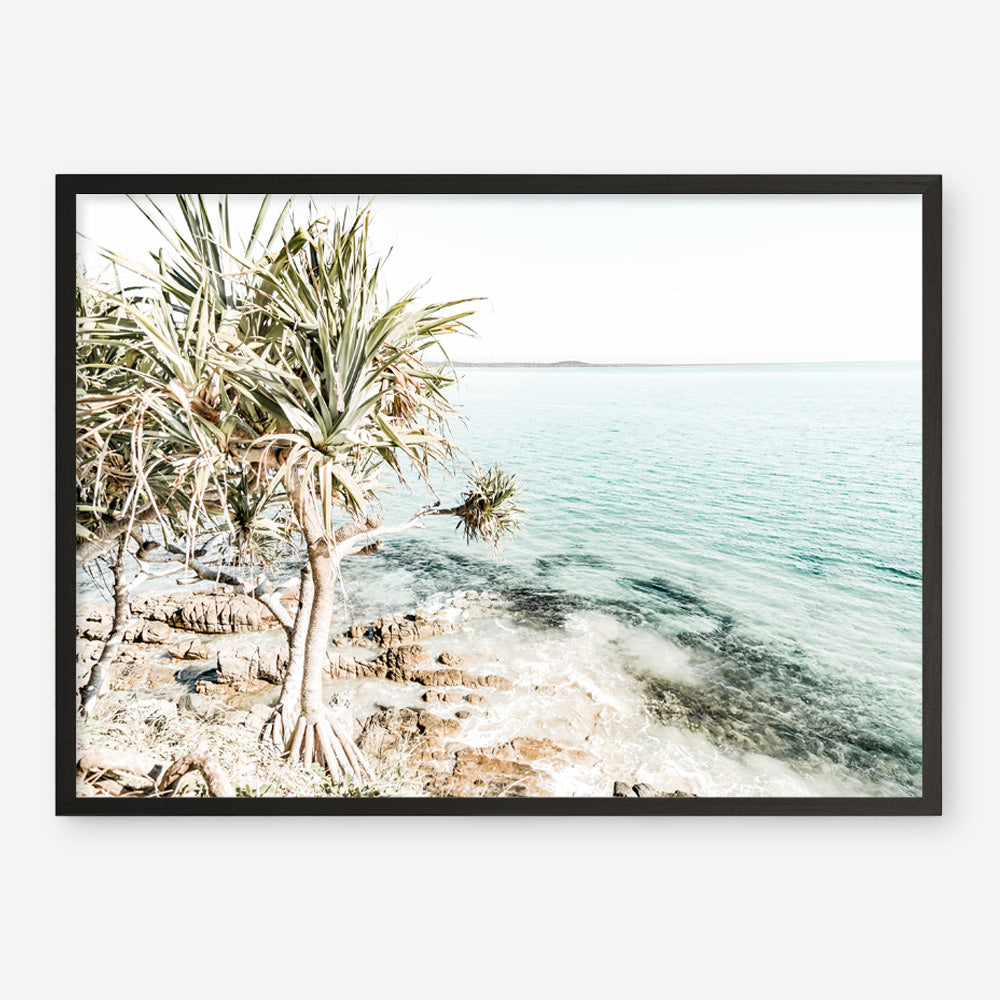 Shop Palm Tree Point Photo Art Print a coastal themed photography wall art print from The Print Emporium wall artwork collection - Buy Australian made fine art poster and framed prints for the home and your interior decor, TPE-1068-AP