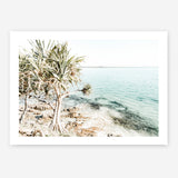 Shop Palm Tree Point Photo Art Print a coastal themed photography wall art print from The Print Emporium wall artwork collection - Buy Australian made fine art poster and framed prints for the home and your interior decor, TPE-1068-AP