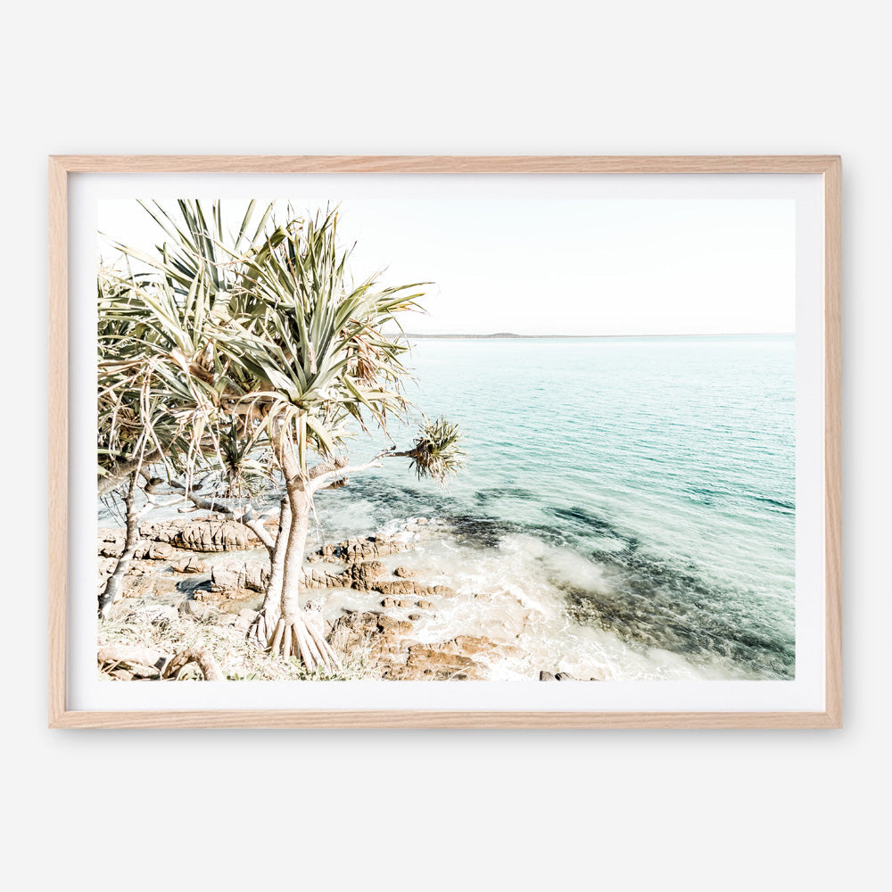 Shop Palm Tree Point Photo Art Print a coastal themed photography wall art print from The Print Emporium wall artwork collection - Buy Australian made fine art poster and framed prints for the home and your interior decor, TPE-1068-AP