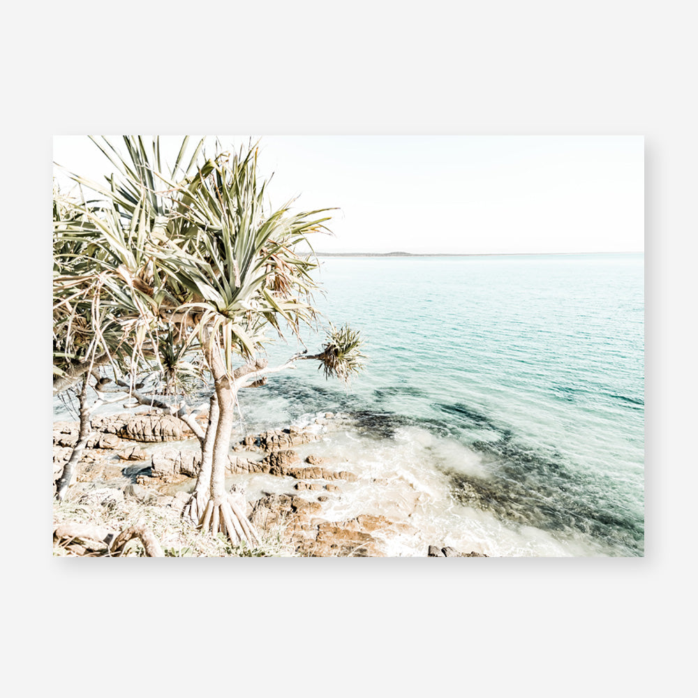 Shop Palm Tree Point Photo Art Print a coastal themed photography wall art print from The Print Emporium wall artwork collection - Buy Australian made fine art poster and framed prints for the home and your interior decor, TPE-1068-AP