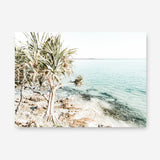 Shop Palm Tree Point Photo Canvas Print a coastal themed photography framed stretched canvas print from The Print Emporium wall artwork collection - Buy Australian made prints for the home and your interior decor space, TPE-1068-CA-35X46-NF