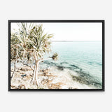 Shop Palm Tree Point Photo Canvas Print a coastal themed photography framed stretched canvas print from The Print Emporium wall artwork collection - Buy Australian made prints for the home and your interior decor space, TPE-1068-CA-35X46-NF
