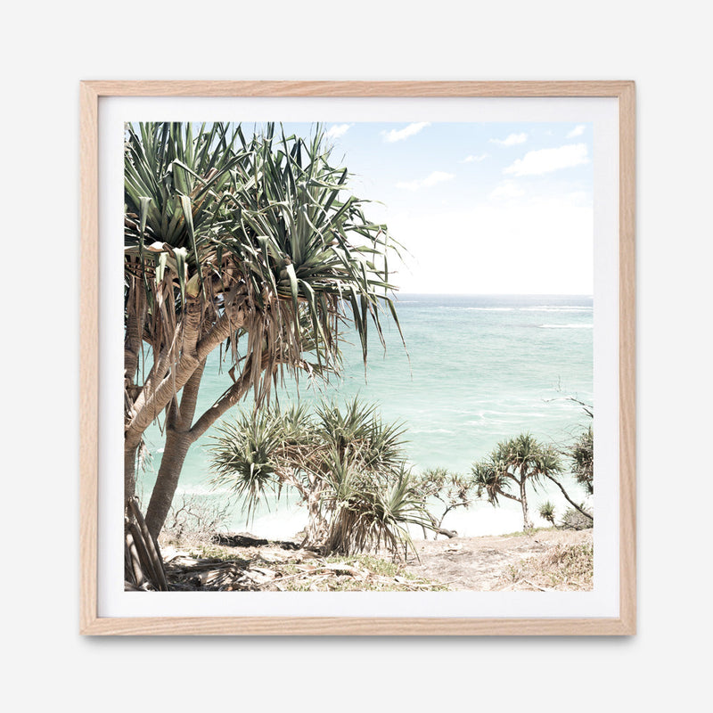 Shop Palm Tree Views III (Square) Photo Art Print a coastal themed photography wall art print from The Print Emporium wall artwork collection - Buy Australian made fine art poster and framed prints for the home and your interior decor, TPE-947-AP