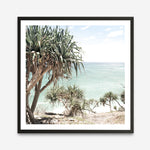 Shop Palm Tree Views III (Square) Photo Art Print a coastal themed photography wall art print from The Print Emporium wall artwork collection - Buy Australian made fine art poster and framed prints for the home and your interior decor, TPE-947-AP