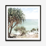 Shop Palm Tree Views III (Square) Photo Art Print a coastal themed photography wall art print from The Print Emporium wall artwork collection - Buy Australian made fine art poster and framed prints for the home and your interior decor, TPE-947-AP