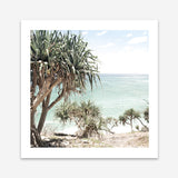 Shop Palm Tree Views III (Square) Photo Art Print a coastal themed photography wall art print from The Print Emporium wall artwork collection - Buy Australian made fine art poster and framed prints for the home and your interior decor, TPE-947-AP