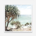 Shop Palm Tree Views III (Square) Photo Art Print a coastal themed photography wall art print from The Print Emporium wall artwork collection - Buy Australian made fine art poster and framed prints for the home and your interior decor, TPE-947-AP