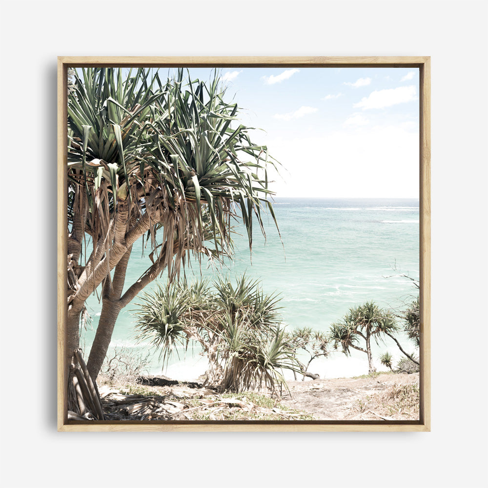 Shop Palm Tree Views III (Square) Photo Canvas a coastal themed photography framed stretched canvas print from The Print Emporium wall artwork collection - Buy Australian made prints for the home and your interior decor space, TPE-947-CA-40X40-NF
